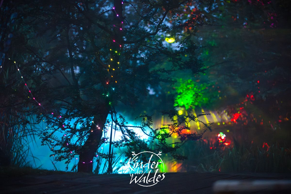 Bunte Lichterketten und farbiges Licht im nächtlichen Festivalwald